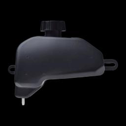 Miniatiūra 11