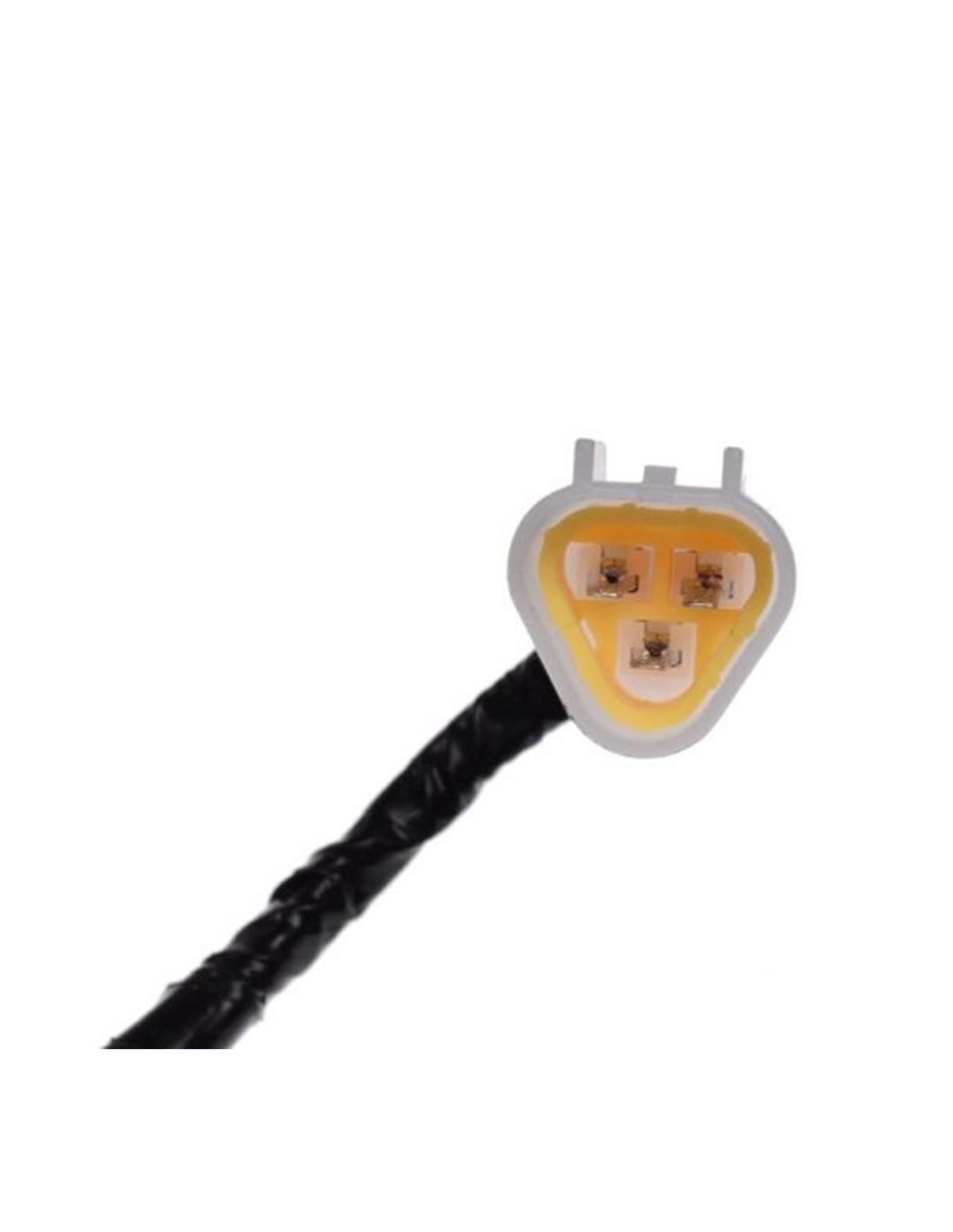 Miniatiūra 2