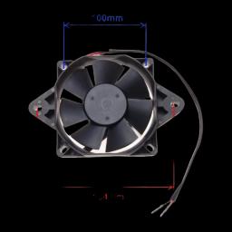 Miniatiūra 6