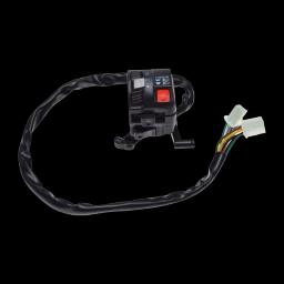 Pisipilt 10