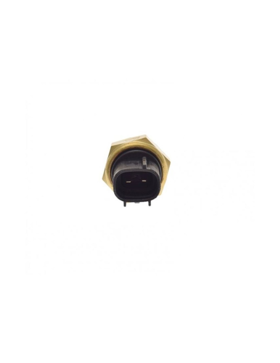 Miniatiūra 2