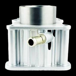 Miniatiūra 2