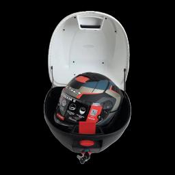 Miniatiūra 8