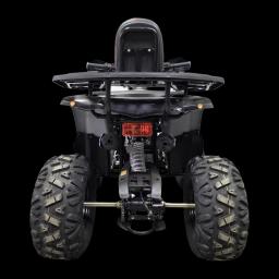 Miniatiūra 12