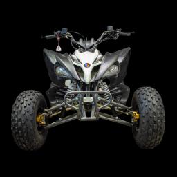 Miniatiūra 28