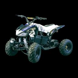 Miniatiūra 11