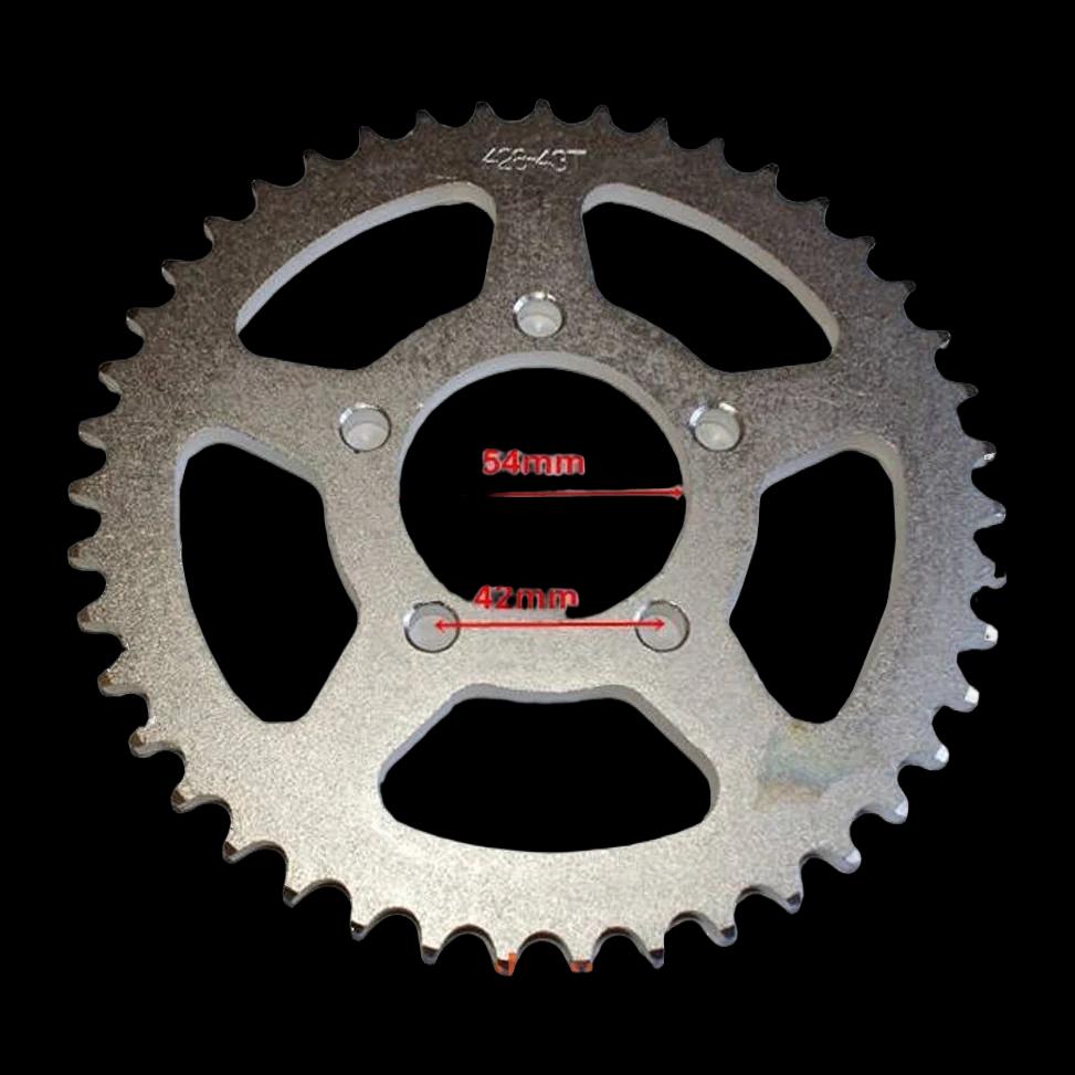 Žvaigždė galinė 428 43T D54mm — nuotrauka 1