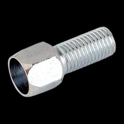 Miniatiūra 1