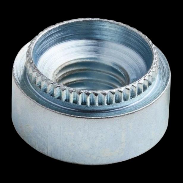 Veržlė pres. RHA