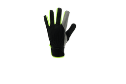 Miniatiūra 2